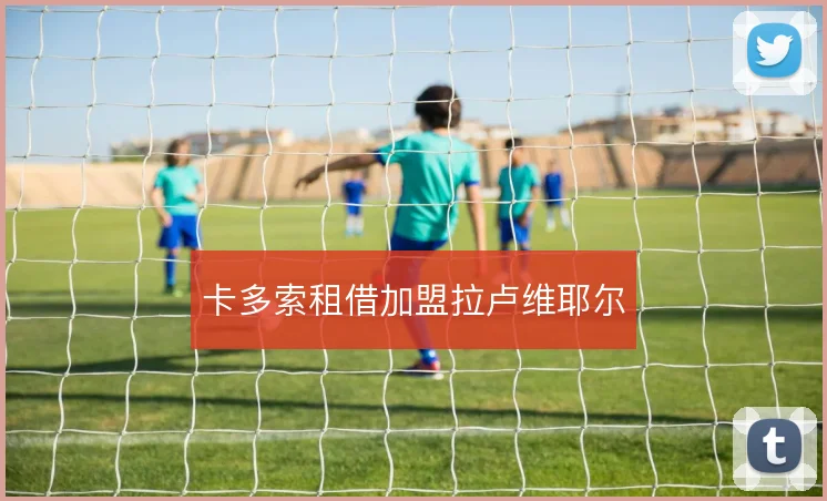 卡多索租借加盟拉卢维耶尔