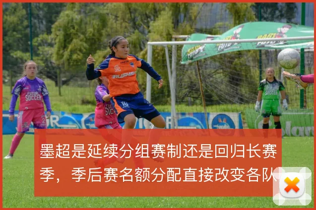 墨超是延续分组赛制还是回归长赛季,季后赛名额分配直接改变各队策略